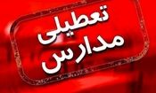 مدارس و دانشگاه‌های مناطق جنوبی بوشهر غیرحضوری شد

