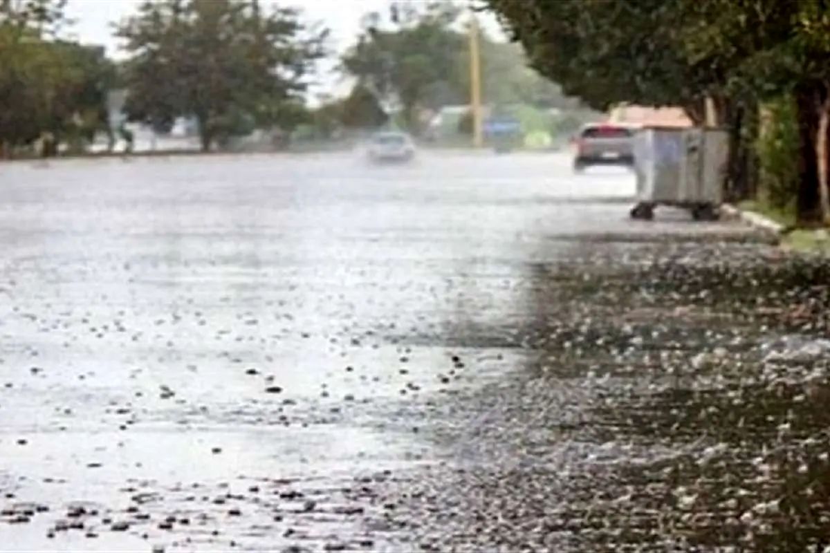 مقایسه آماری ۱۰۰ سال اخیر؛ پربارش‌ترین سال‌های تهران کدام‌اند؟
