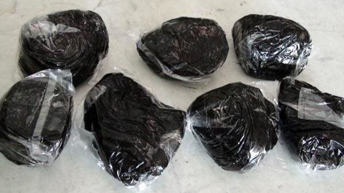 عجیب ترین محموله در معده مادر کاشمری و ۲ فرزندش