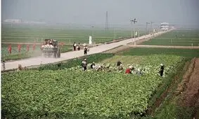 درخواست کره شمالی از مردم برای تولید کود از مدفوع خود!/ ۵۰۰ کیلو برای هر نفر/ هر کس اجرا نکند به ازای هر کیلو کسری، مبلغی باید بپردازد