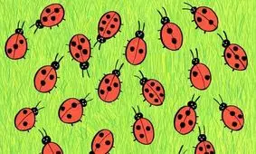 کدام کفشدوزک دارای الگوی منحصر به فرد روی بدن خود است؟/ عکس

