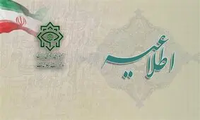 اطلاعیه وزارت اطلاعات درباره بازداشت 2 فرد اروپایی سازمان دهنده آشوب و بی نظمی


