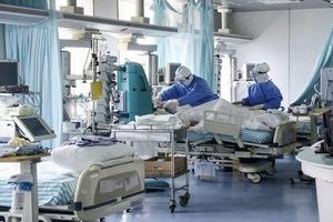 بیماران کرونایی بوشهر به بیمارستان‌ های امیرالمؤمنین و حضرت قائم (عج) مراجعه کنند