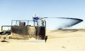 تکرار اشتباه مالچ پاشی؛ حیوانات و گیاهانی که زیر مالچ دفن می‌شوند