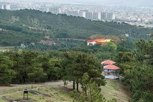 منابع طبیعی تهران: مخالف ساخت هتل در پارک های جنگلی هستیم