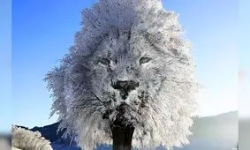 تست شخصیت‌شناسی: آنچه اول دیدید، نشان می‌دهد فریب‌دادن شما چقدر سخت است