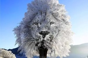 تست شخصیت‌شناسی: آنچه اول دیدید، نشان می‌دهد فریب‌دادن شما چقدر سخت است