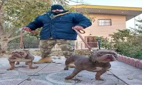 حاشیه جدید سجاد غریبی کنار خودرواش