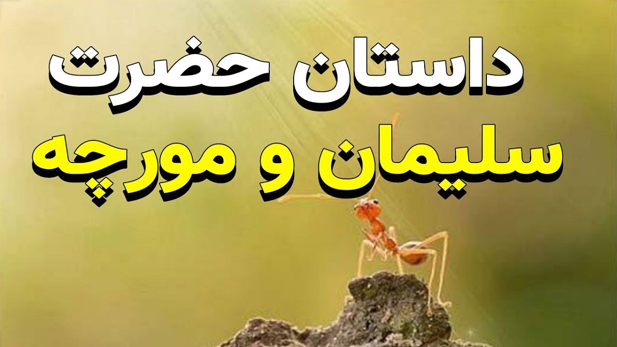 داستان حضرت سلیمان و تلاش مورچه برای جابجا کردن کوه