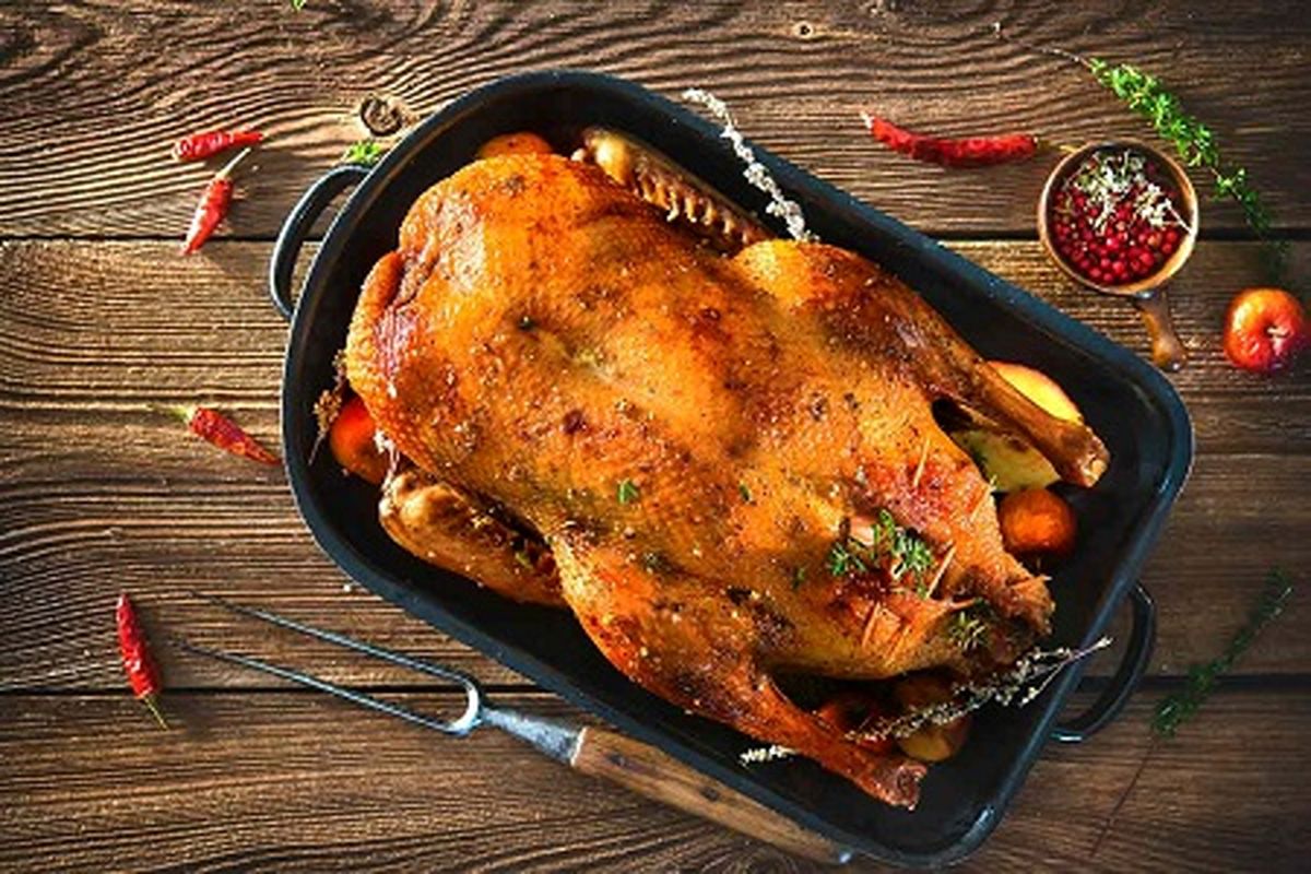 مزایای گوشت اردک که آن را بیشتر از یک خوراکی معمولی می کند