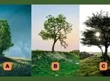 تست شخصیت شناسی/ میزان نوستالژیک بودن خود را کشف کنید؛ کدام درخت نمایانگر شماست؟