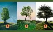 تست شخصیت شناسی/ میزان نوستالژیک بودن خود را کشف کنید؛ کدام درخت نمایانگر شماست؟