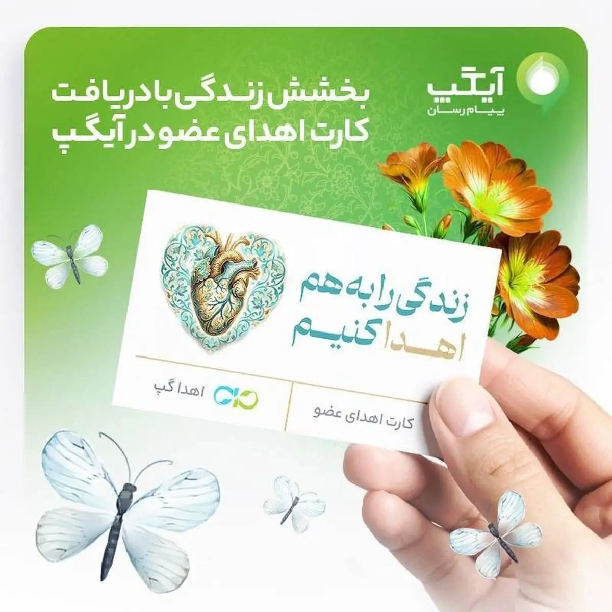 بخشش زندگی با دریافت کارت اهدای عضو در آیگپ