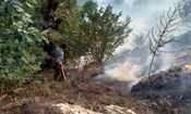 آخرین وضعیت آتش سوزی در 3 نقطه جنگل‌های مازندران/ احتمال وقوع آتش‌سوزی‌های مجدد طی امروز و فردا وجود دارد