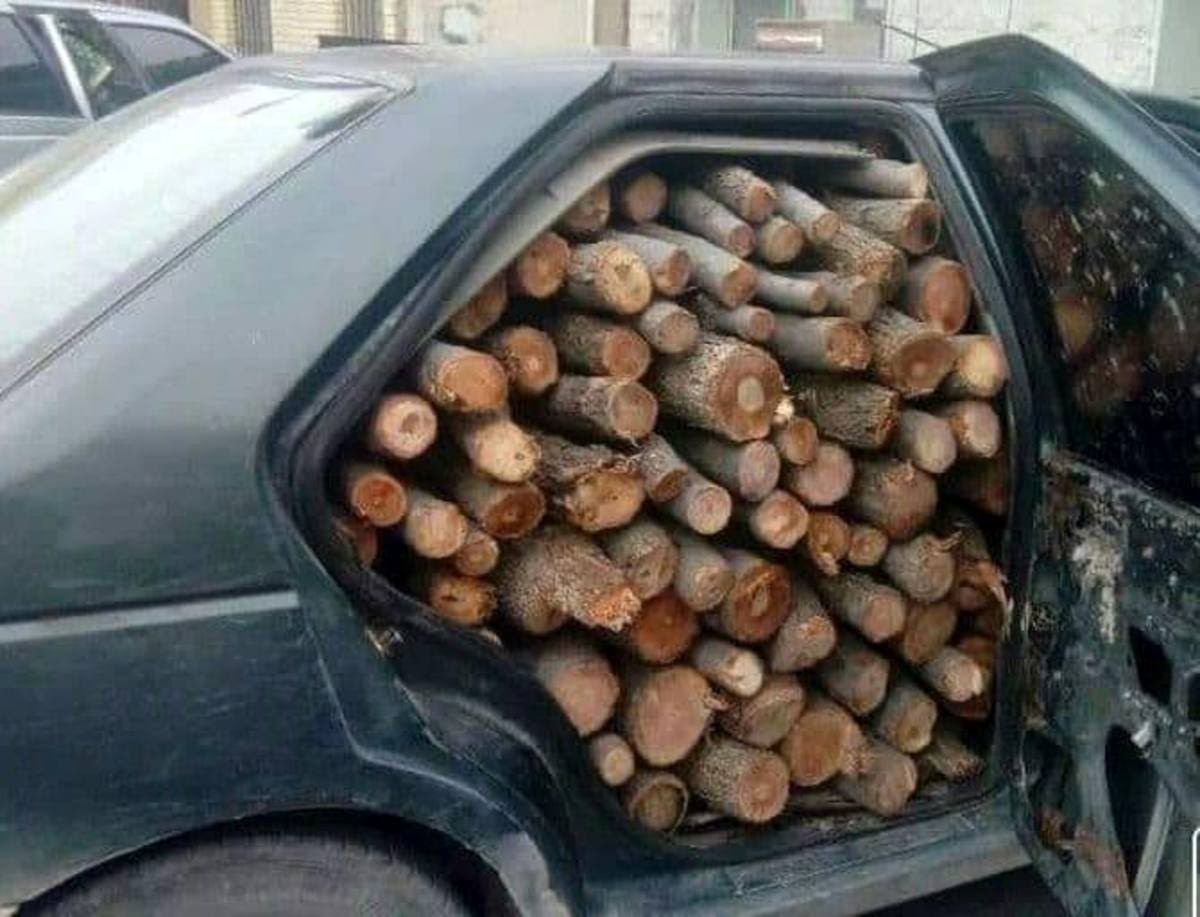 قاچاق چوب‌ های قتل عام شده زاگرس با خودرو شخصی