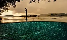 بهترین عکس‌های سال ۲۰۲۵ نشنال جئوگرافیک