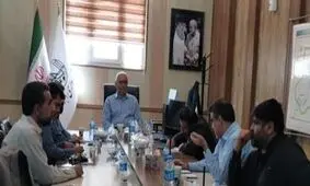 جمع آوری سگ های بلاصاحب با دقت و سرعت بیشتری انجام می شود

