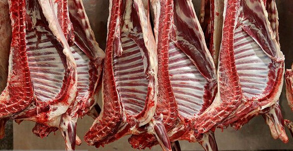  تداوم واردات گوشت یا توقف عرضه؛ تصمیم چیست؟ 