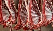 تداوم واردات گوشت یا توقف عرضه؛ تصمیم چیست؟