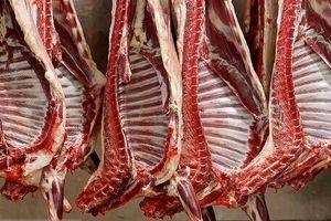 تداوم واردات گوشت یا توقف عرضه؛ تصمیم چیست؟