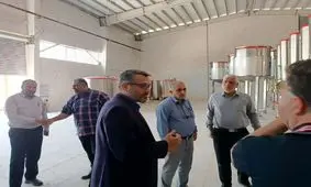 رونق اشتغال پایدار با راه‌اندازی طرح های توسعه ای نیشکر