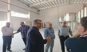 رونق اشتغال پایدار با راه‌اندازی طرح های توسعه ای نیشکر