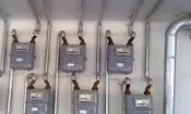 گاز برخی محلات کرمانشاه و روستاهای شهرستان صحنه امروز قطع می‌شود
