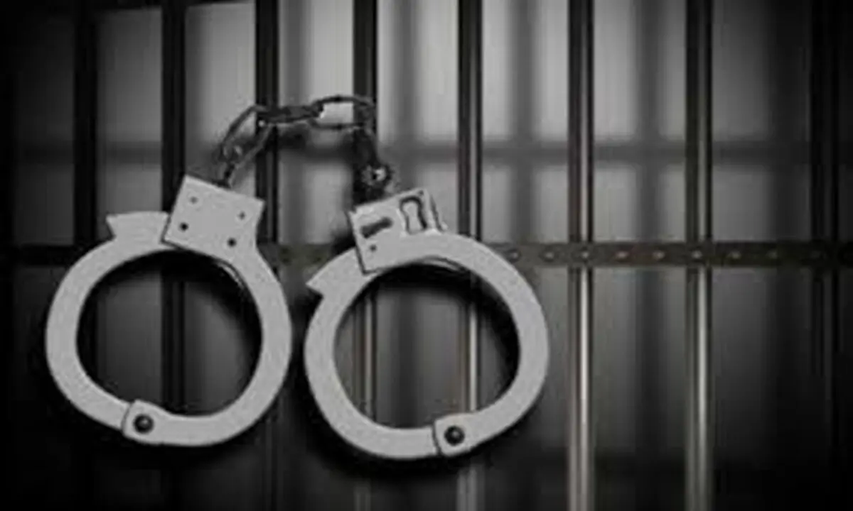 زمینگیری سارق فراری توسط مرد جوان فقط با یک حرکت/ ویدئو