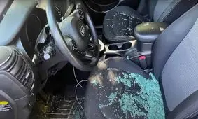 چالش کیا در تیک تاک؛ راهکاری برای سرقت خودروهای کره‌ای!
