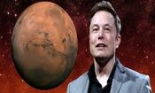 «ایلان ماسک» در گفت‌وگو با کارمندانش: تا ۲۰ سال دیگر روی مریخ زندگی می‌کنیم!

