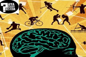 اولین تاثیر ورزش برخلاف باورها بر مغز است نه بدن!