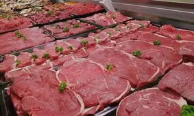 ماهیچه گوسفندی در مرز میلیونی شدن