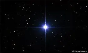 ستاره‌های آسمان فروشی شد! / قیمت یک ستاره چند؟