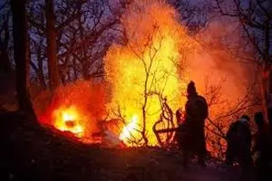 بازدید میدانی دادستان مرکز استان مازندران از محل آتش‌سوزی جنگل‌های الیت