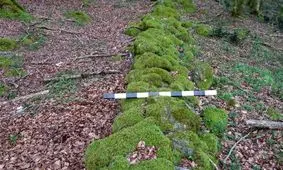 کشف دیوار 2 هزار ساله‌ای که برای گرفتار کردن «اسپارتاکوس» ساخته شد