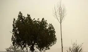 ادارات و مدارس استان ایلام فردا تعطیل اعلام شد