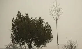 ادارات و مدارس استان ایلام فردا تعطیل اعلام شد