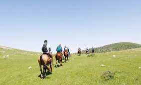 تورم‌سنجی تورهای مسافرتی