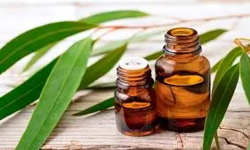 گیاهی مفید برای آبرسانی پوست