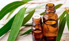 گیاهی مفید برای آبرسانی پوست