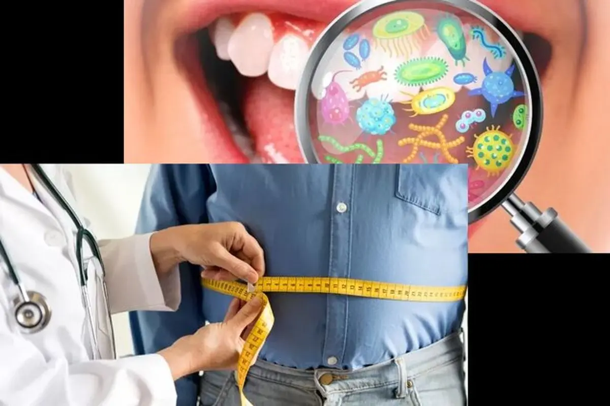 میکروب‌های دهان می‌توانند کلید پیشگیری از چاقی باشند

