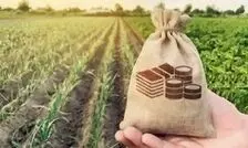 سایه قبض ۴۰۰ میلیونی بر سر کشاورزان/ مشکل برق چاه‌ها ریشه‌ای حل شود
