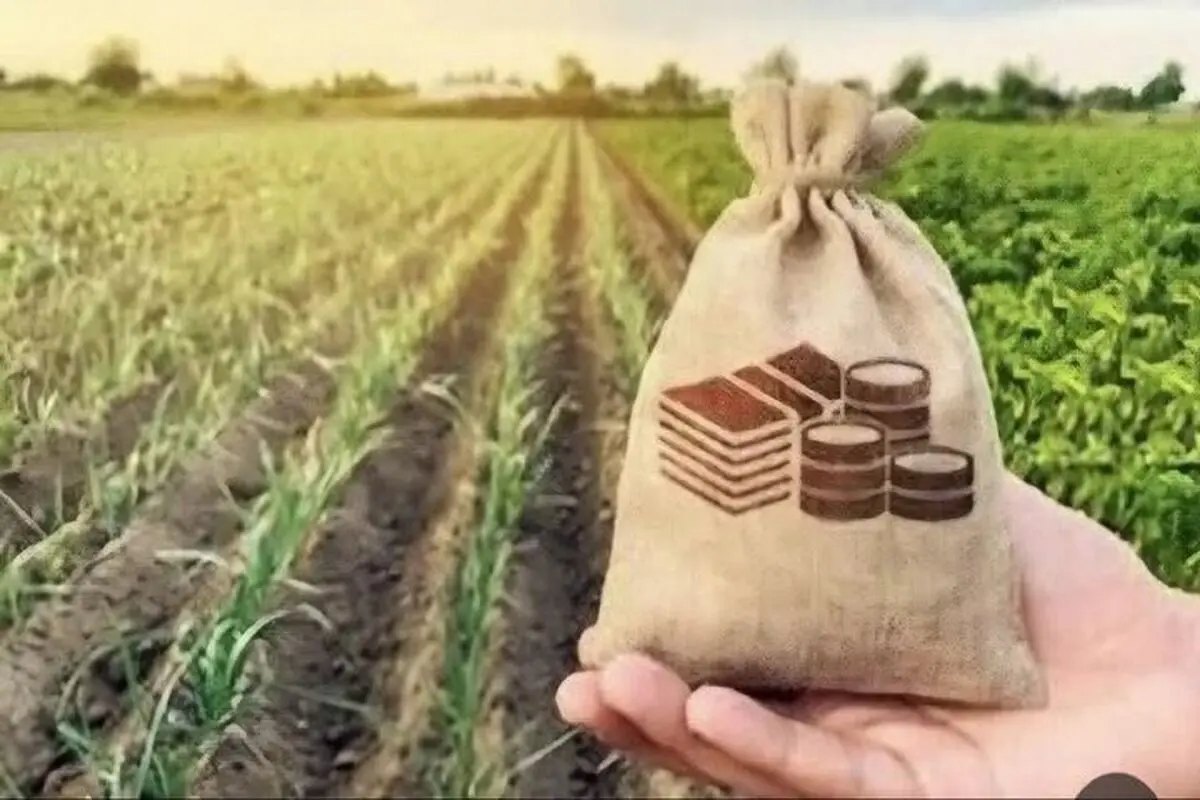 سایه قبض ۴۰۰ میلیونی بر سر کشاورزان/ مشکل برق چاه‌ها ریشه‌ای حل شود
