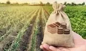 سایه قبض ۴۰۰ میلیونی بر سر کشاورزان/ مشکل برق چاه‌ها ریشه‌ای حل شود

