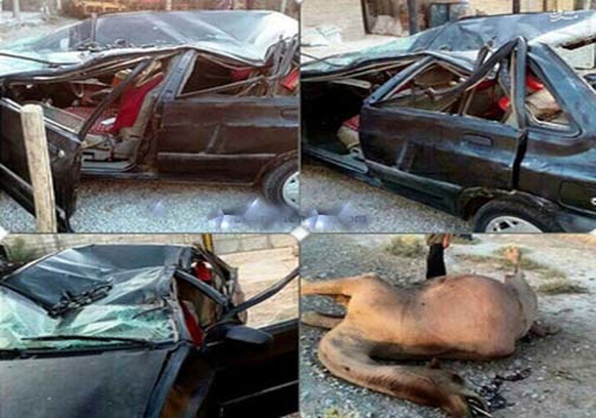 تصادف خونین شتر با پراید در قم