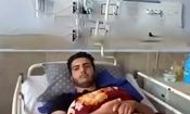 حمله ۶ سگ ولگرد به خبرنگار ورزشی در بابل/ ویدئو