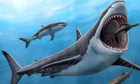  کشف کوسه ارواح؛ موجودی عجیب و اسرارآمیز در اعماق دریا/ ویدئو