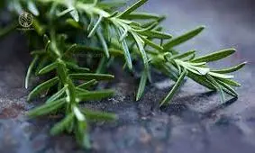 این گیاه ایرانی ضد درد و ضد عفونت است