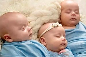 پرداخت ماهانه ۴.۴ میلیون تومان به خانواده های دارای چندقلو