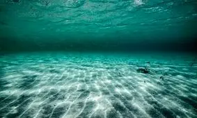 پس از ۷ هزار سال، دوباره زنده شد/ موجودی که قرن‌ها خفته بود